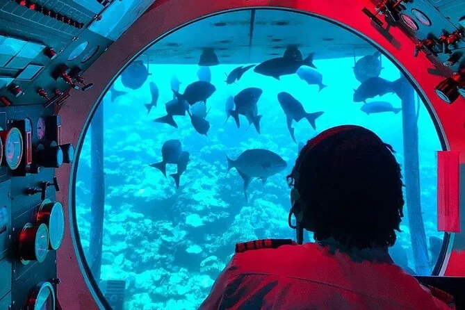 Pasajeros mirando peces por el ojo de buey de un submarino